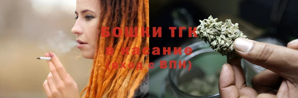 шишки Мегион