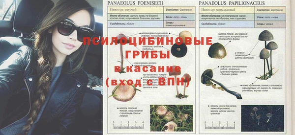 гидропоника Майский
