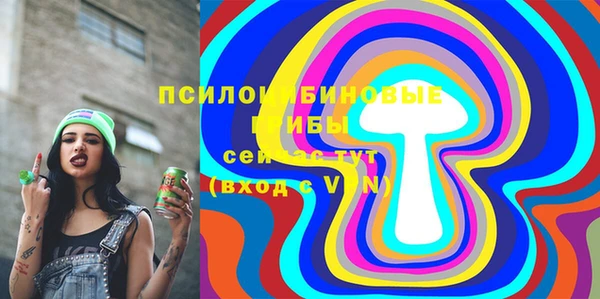 шишки Мегион