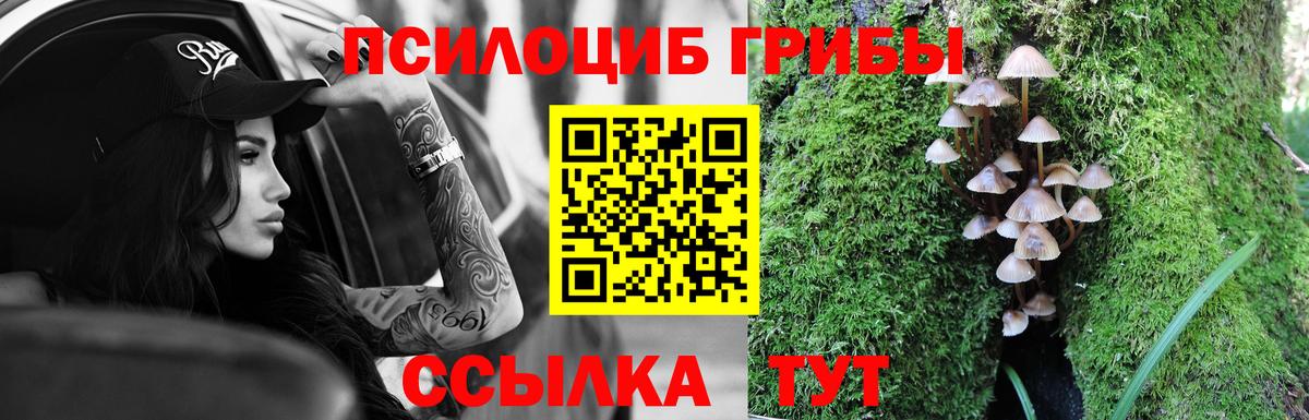 Первоуральск  Галлюциногенные грибы Psilocybe  Вход с VPN  Галлюциногенные грибы прущие грибы 